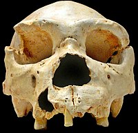 Archäologische Stätte von Atapuerca