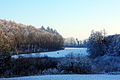 Schnee in der Sonne weiß (brr!) (Wikipeder)