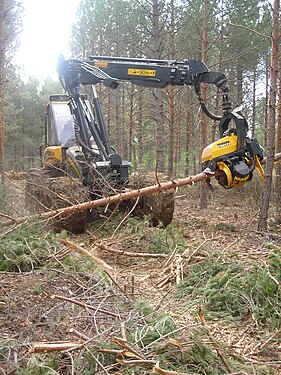 Holzernten mit dem Harvester