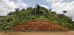 Coupe dans le sol de Guyane, sur la route de Cacao.