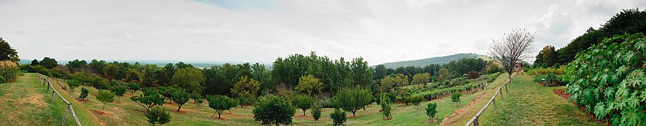 Vegetable Garden – 180 degrees