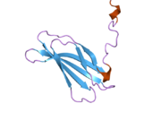 2h41: Solution structure of the second type III domain of human Fibronectin: minimized average structure