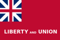 The Taunton Flag