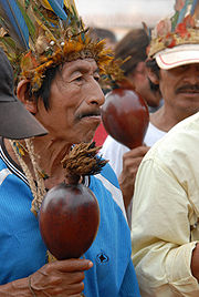 Xamã caiouá