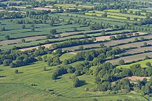 Hedges in Schleswig-Holstein