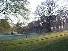 Vue au matin des arbres en hiver dans le parc Barbieux de Roubaix