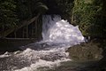 Air Terjun Bantimurung di kawasan TWA Bantimurung