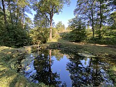 Stauteich bei Rhinschen-Schmidthausen