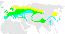 Gult - farfugl (sumar), grænt - staðfugl, ljósblátt - farfugl (vetur)