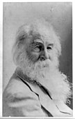 Walt Whitman, 1880 - 1892 körül