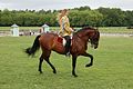 Dressurreiten am Schloss Chambord