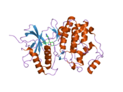 1tvo: The structure of ERK2 in complex with a small molecule inhibitor