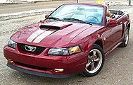 Ford Mustang Convertible 40th Anniversary Edition (2004)