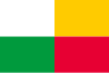 Bandeira de Plzeň