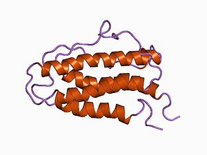 Erythropoietinum