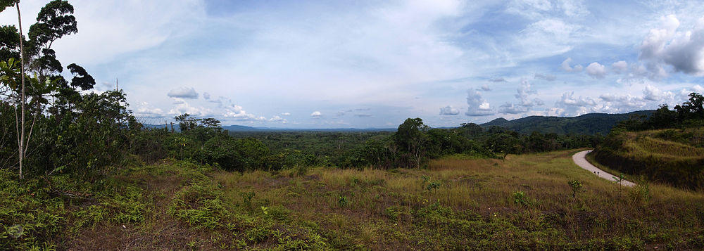 The southern end of the Maiko National Park