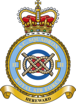 Squadron badge