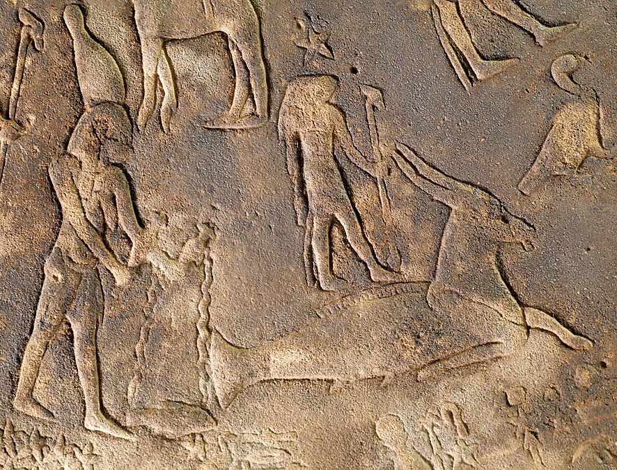 Die beiden Ekliptiksternbilder Wassermann (Aquarius) und Steinbock (Capricornus) respektive Ziegenfisch auf dem Zodiak von Dendera von ungefähr 50 vor Christus. Der Tempel von Dendera liegt 60 Kilometer nördlich von Luxor und war den ägyptischen Göttern Hatgor und Isis geweiht. Die originale Darstellung der Sternbilder der nördlichen Hemisphäre mit allen zwölf Tierkreiszeichen befand sich an der Decke des Mittelraums der nordöstlichen Anlage des Tempels und ist heute im Pariser Louvre ausgestellt.