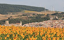 Paesaggio pietramontecorvino fg puglia.jpg