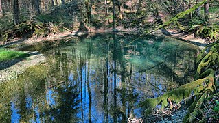 La source de l'Audeux.