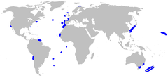 Distribución do tiburón anguía