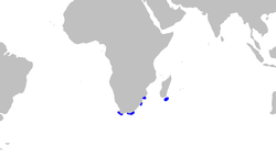 Distribuição do Pliotrema warreni (em azul)