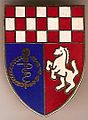 Wappen von SanRgt 22