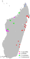 Used in Chrysiridia rhipheus and Omphalea