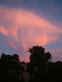 A picture of contorted cirrus clouds shining red in the sunset. Fall streaks (like long thin streamers) descend from the clouds.