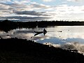 Lac Alaotra