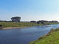 La Meuse près de Rotem