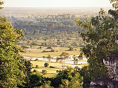 Rizières près d'Angkor, 2001. L'irrigation réalisée grâce à un système de canaux et la culture du riz sont à l'origine de la puissance du Royaume Khmer dès la fin du VIIIe siècle.