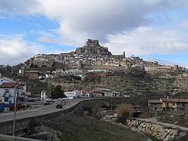 Morella