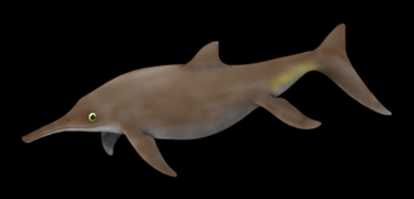 Qianichthyosaurus sp. (Ichthyosauria)) †