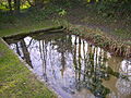 Source de la Calonne à Fontaine-la-Louvet.