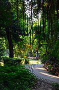 Jardin du bord de mer (海滨公园).