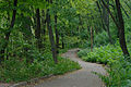 One of the Park's trails