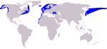 Harbour porpoise range