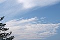 Cirrostratus a dalt, Cirrus al mig i Cirrocumulus a sota