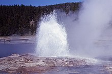 SteadyGeyser-Mahler1969.jpg