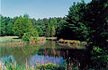 Image 6The Blackbird Pond on the Blackbird State Forest Meadows Tract in New Castle County, Delaware (from Delaware)