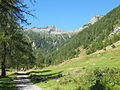 Sentiero verso il rifugio Massero