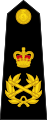 Captain general of the Royal Marines epaulette