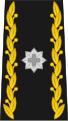 Brigadier (commandant d'une brigade) (br)