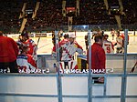 Ishockeyspelare från Malmö Redhawks.