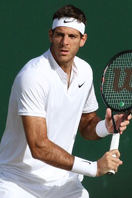 Del Potro op Wimbledon 2016