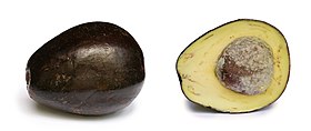 Image illustrative de l’article Avocat (fruit)