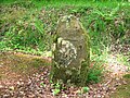 Borne royale en forêt de Cerisy à Montfiquet (Calvados)