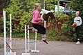 A hobby horse rider jumping