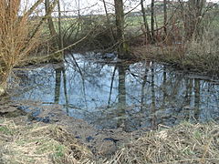 Gipskarstquelle Großes Grundlos am Kirchbach